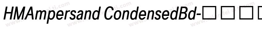 HMAmpersand CondensedBd字体转换